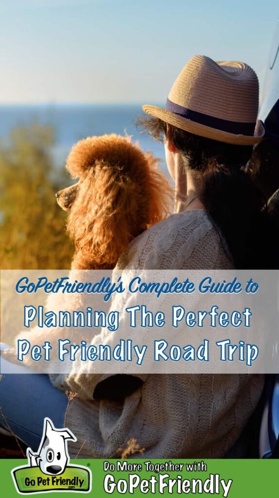 Planning A Road Trip With Pets